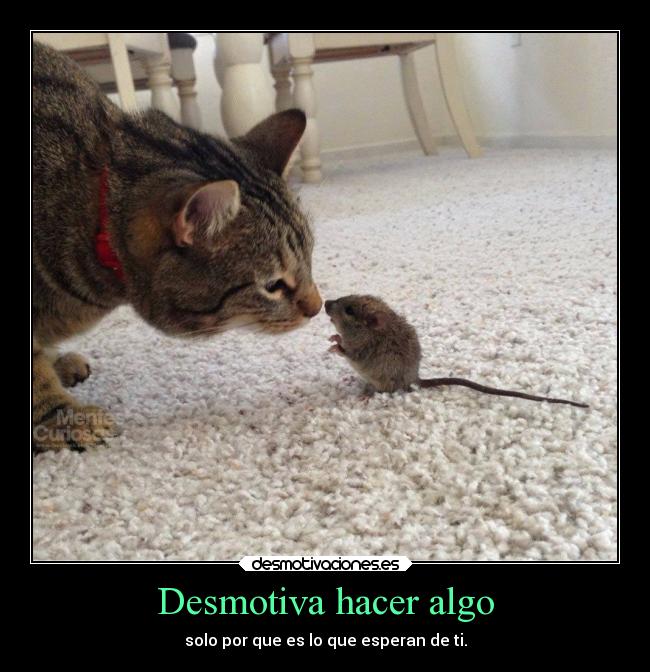 Desmotiva hacer algo - solo por que es lo que esperan de ti.