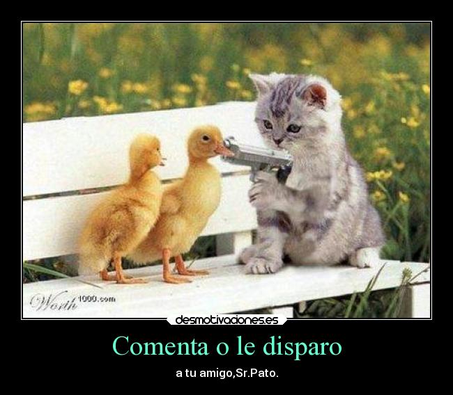 Comenta o le disparo - a tu amigo,Sr.Pato.