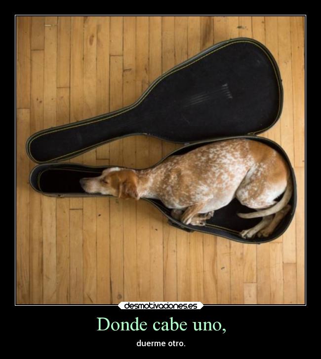 Donde cabe uno, - duerme otro.