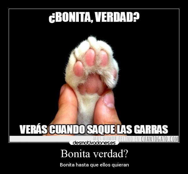 Bonita verdad? - Bonita hasta que ellos quieran