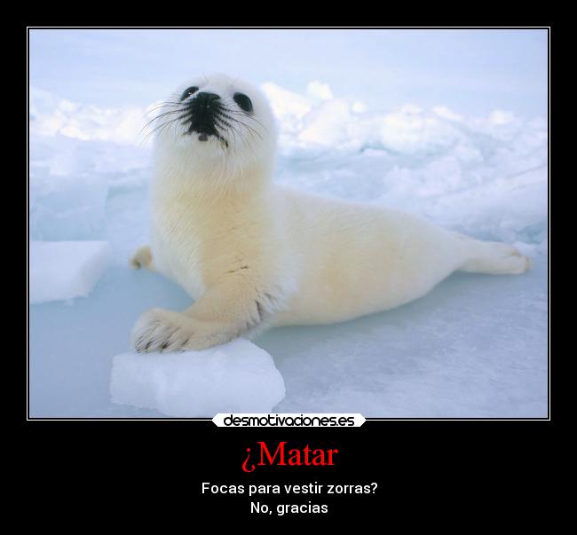 ¿Matar -