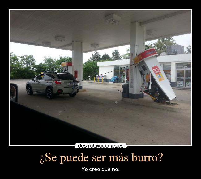 ¿Se puede ser más burro? -