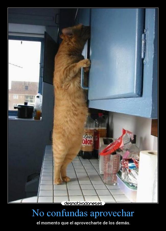 No confundas aprovechar - el momento que el aprovecharte de los demás.