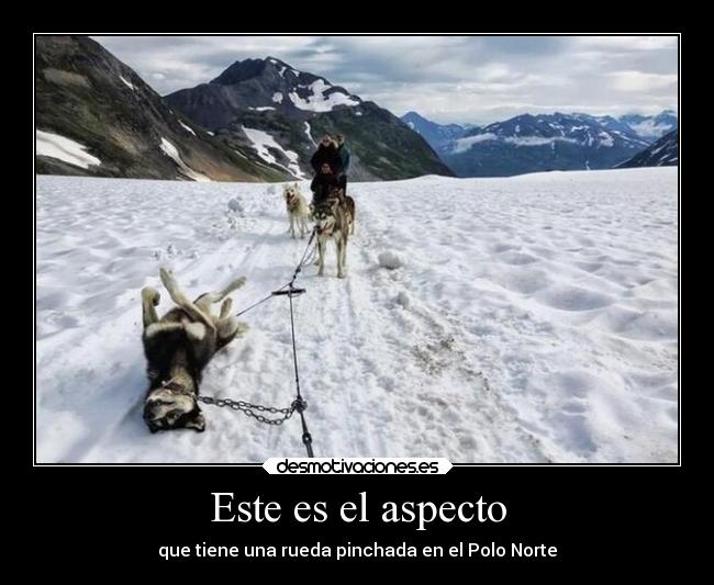 Este es el aspecto - 