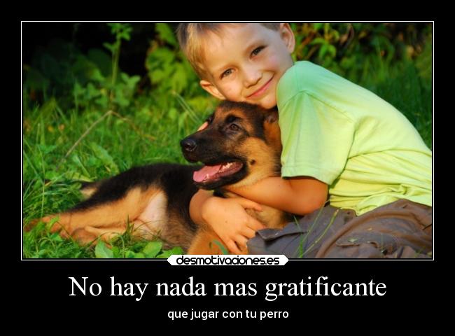 No hay nada mas gratificante - que jugar con tu perro