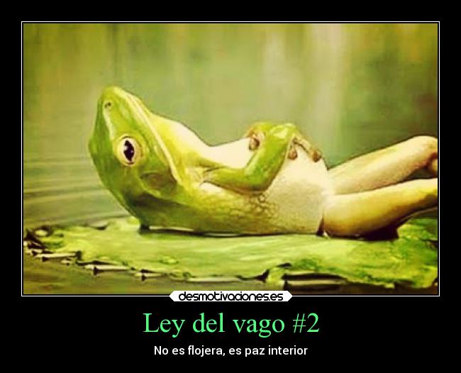 Ley del vago #2 - No es flojera, es paz interior