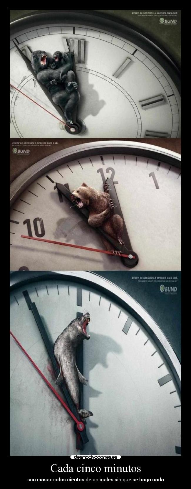 carteles animales mundo ignorancia desmotivaciones desmotivaciones