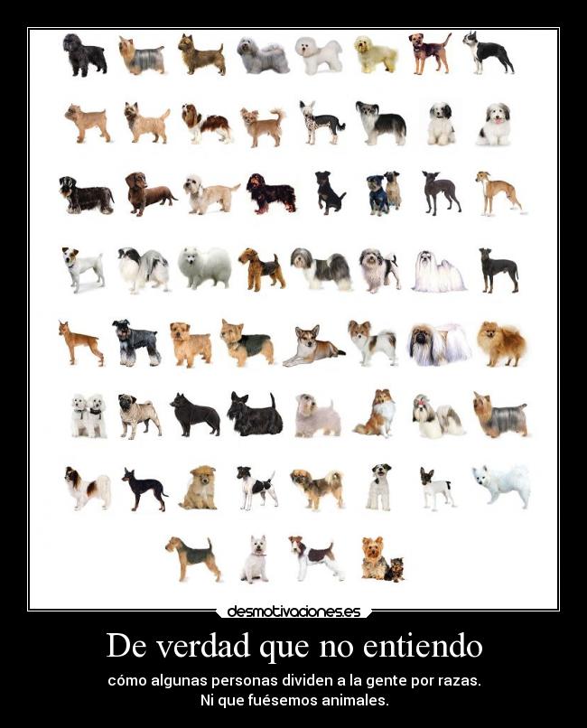 De verdad que no entiendo - cómo algunas personas dividen a la gente por razas.
Ni que fuésemos animales.