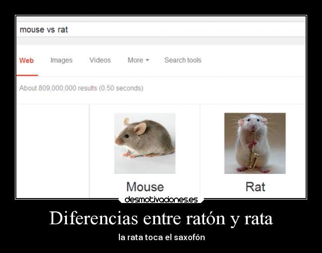 Diferencias entre ratón y rata - la rata toca el saxofón