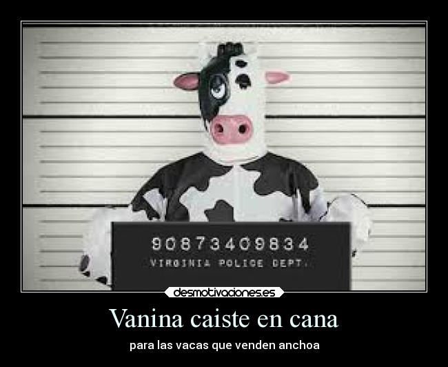Vanina caiste en cana - para las vacas que venden anchoa