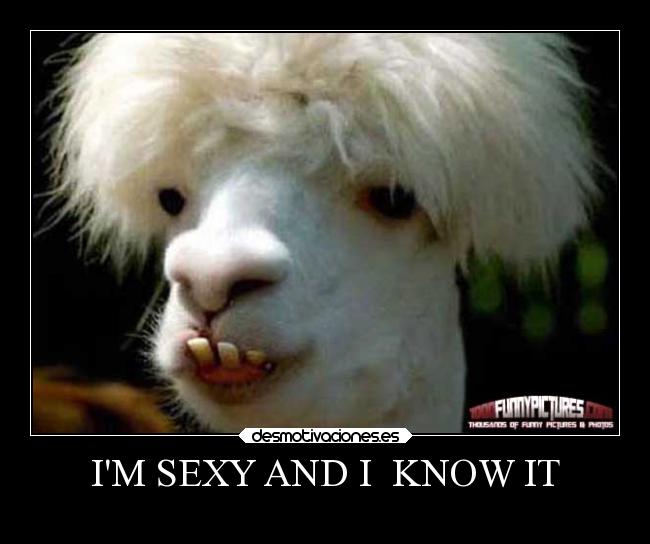IM SEXY AND I KNOW IT -