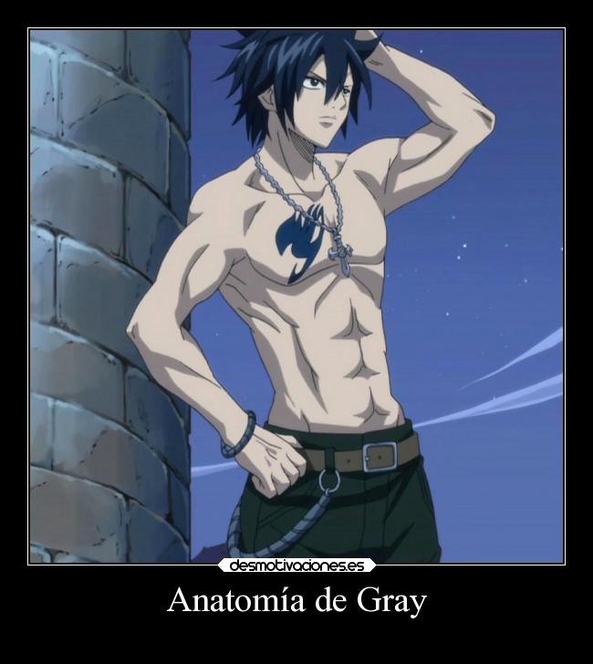 Anatomía de Gray -
