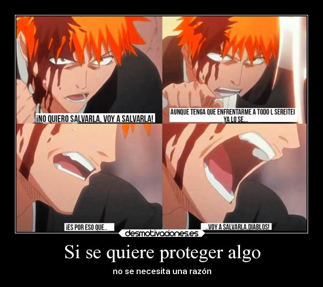 Si se quiere proteger algo -