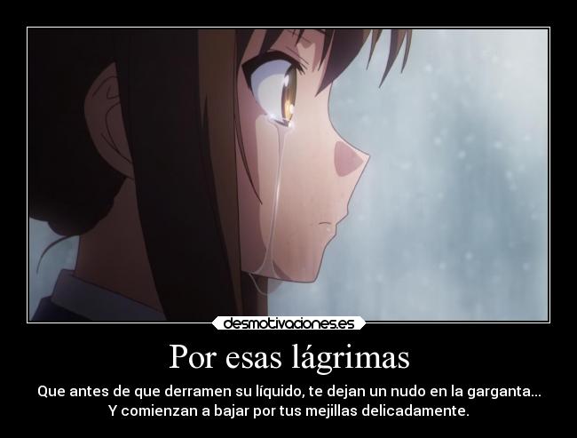 Por esas lágrimas - Que antes de que derramen su líquido, te dejan un nudo en la garganta...
Y comienzan a bajar por tus mejillas delicadamente.
