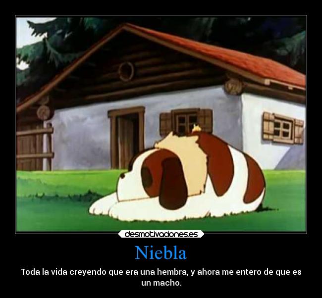 Niebla - Toda la vida creyendo que era una hembra, y ahora me entero de que es
un macho.