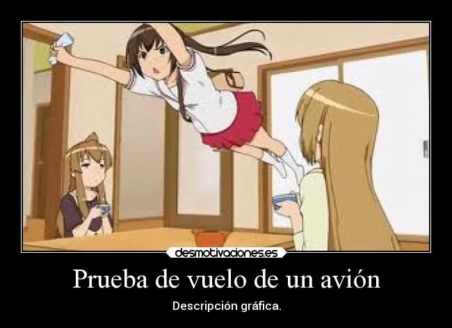 Prueba de vuelo de un avión - Descripción gráfica.