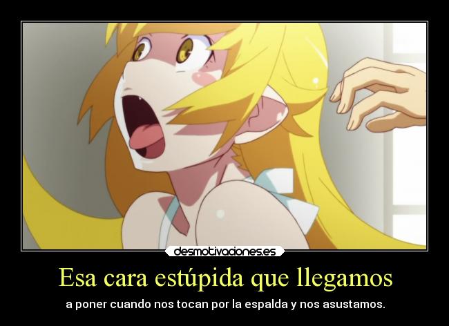 Esa cara estúpida que llegamos -