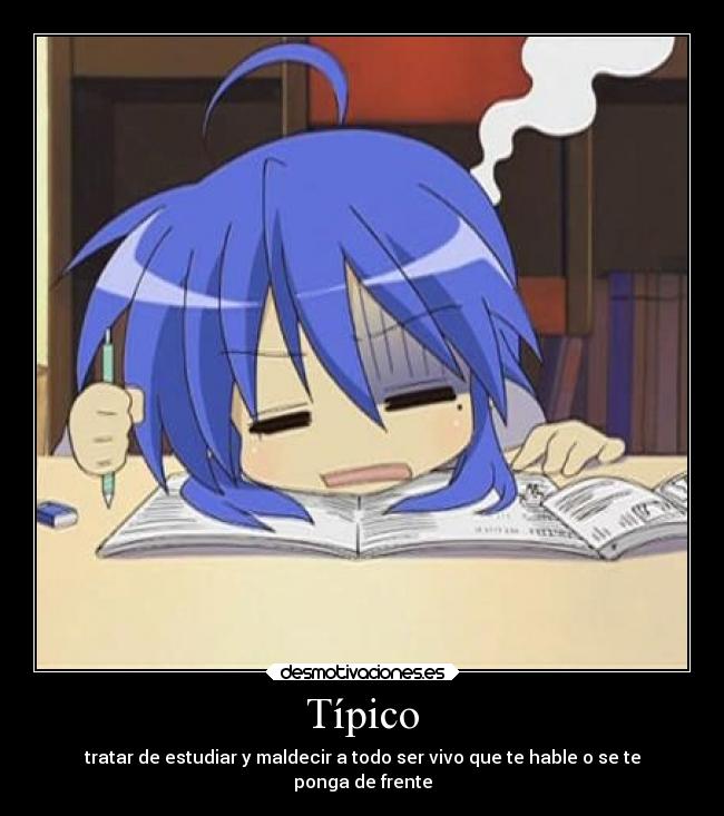 Típico - 