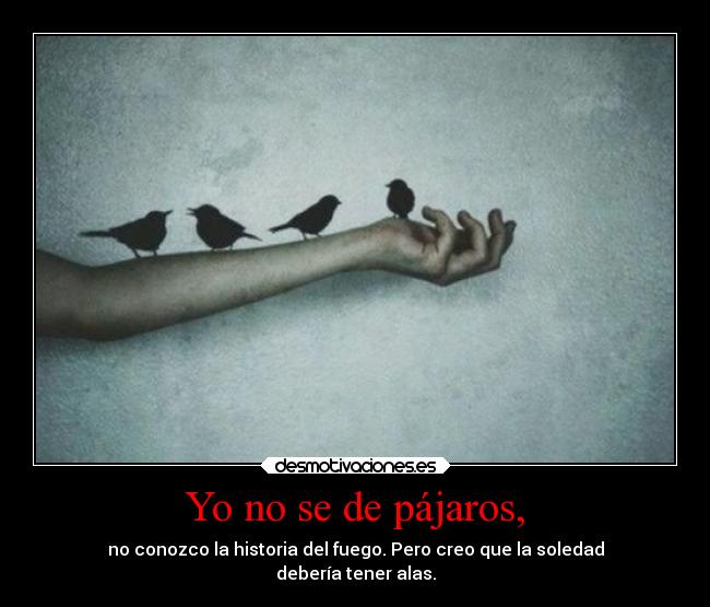 Yo no se de pájaros, -