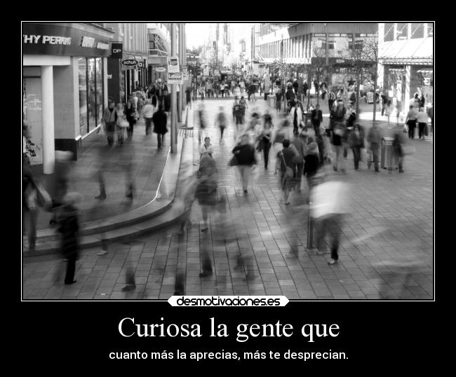 Curiosa la gente que - cuanto más la aprecias, más te desprecian.