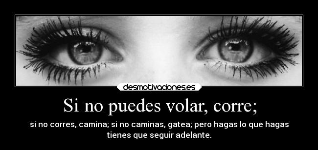 Si no puedes volar, corre; - si no corres, camina; si no caminas, gatea; pero hagas lo que hagas
tienes que seguir adelante.