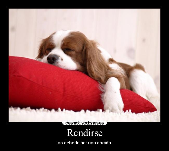 Rendirse - no debería ser una opción.