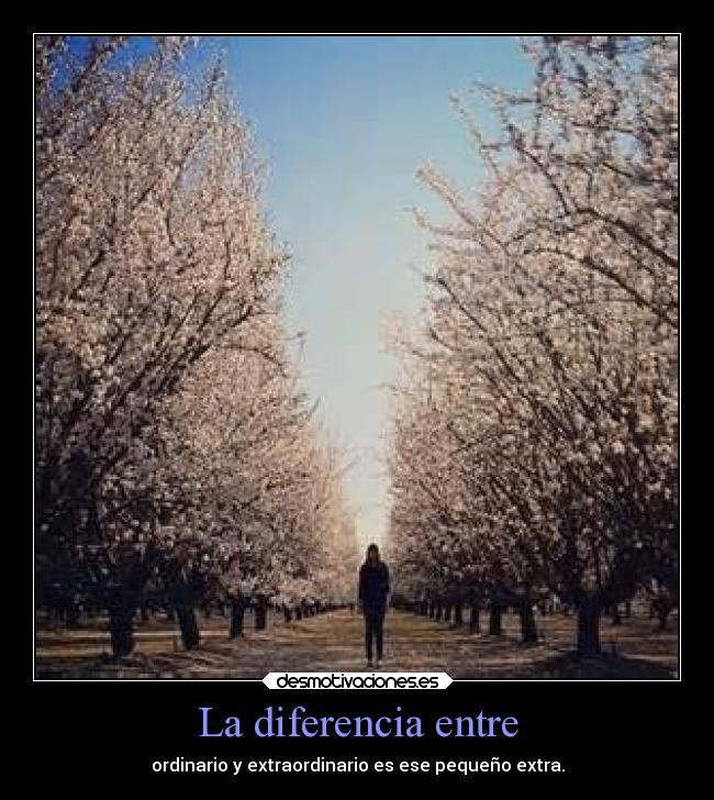 La diferencia entre - ordinario y extraordinario es ese pequeño extra.