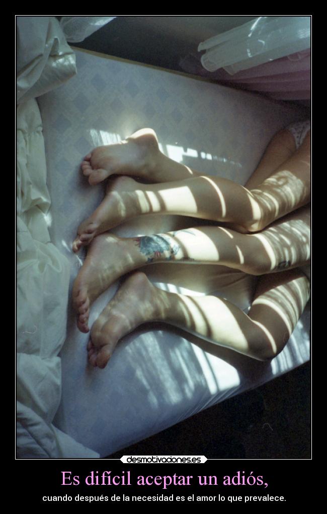 carteles bogota debilidad amor brujacosmica ypor eso yportodo heregresado ati 100 desmotivaciones