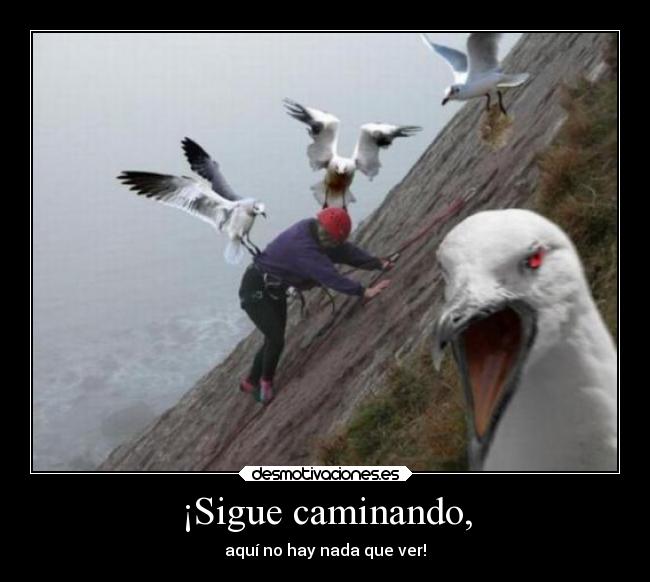 ¡Sigue caminando, - 