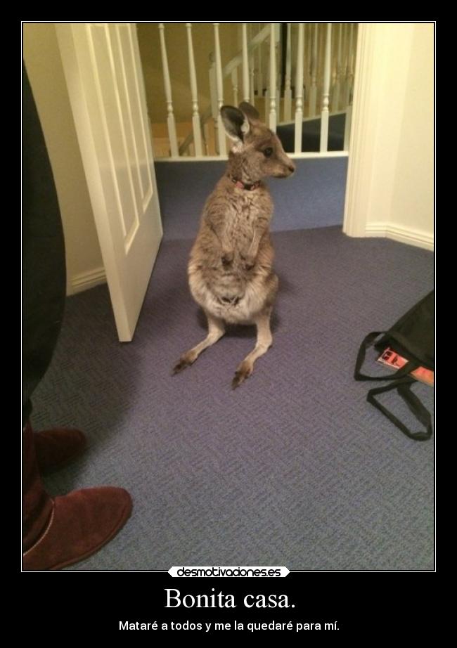 Bonita casa. - 
