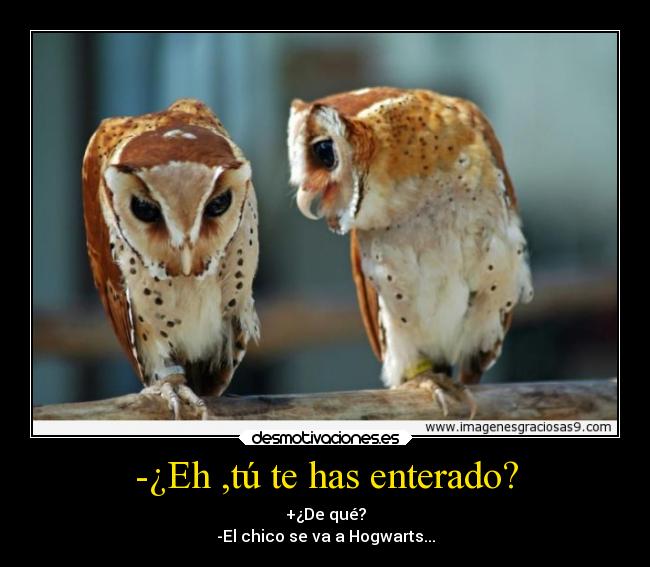 -¿Eh ,tú te has enterado? -