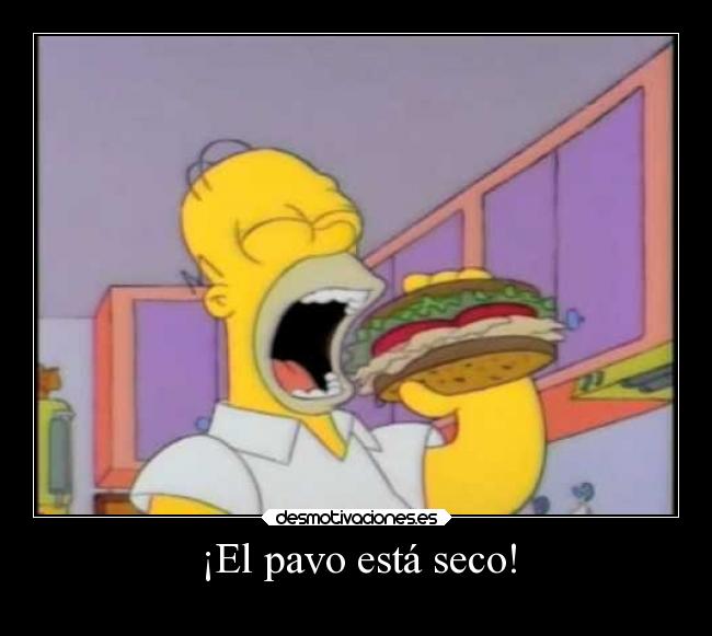 ¡El pavo está seco! -