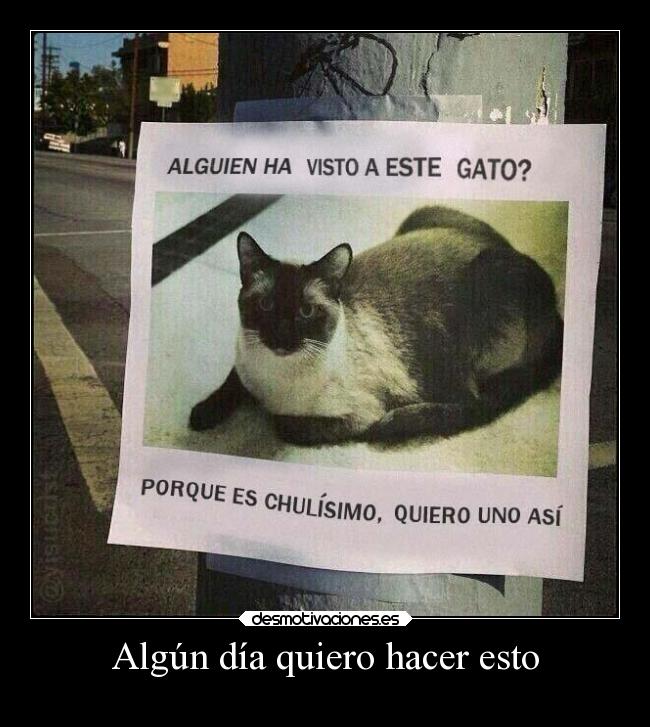 Algún día quiero hacer esto -