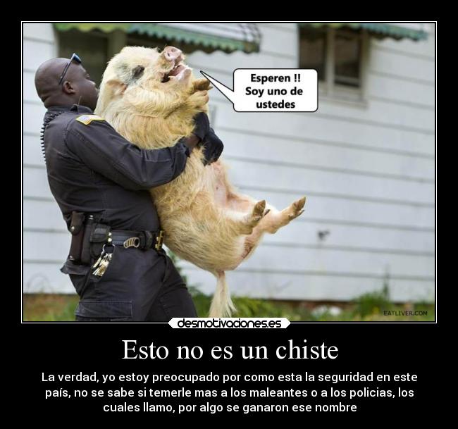 Esto no es un chiste - La verdad, yo estoy preocupado por como esta la seguridad en este
país, no se sabe si temerle mas a los maleantes o a los policias, los
cuales llamo, por algo se ganaron ese nombre