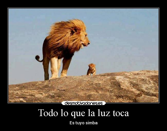 Todo lo que la luz toca -