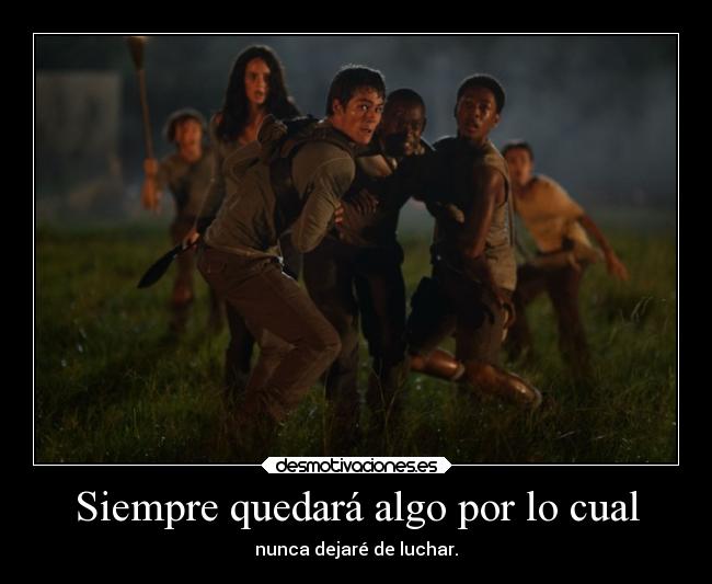 carteles cine lamusicaesmialma traumadefindelibro mazerunner masrana morefrog meaburro lucha yerg desmotivaciones