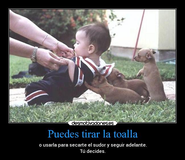 Puedes tirar la toalla -