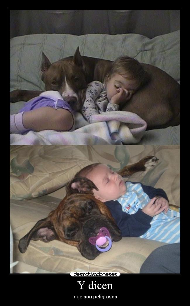 carteles confianza desmotivaciones