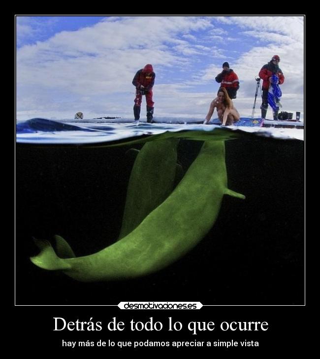 Detrás de todo lo que ocurre - 