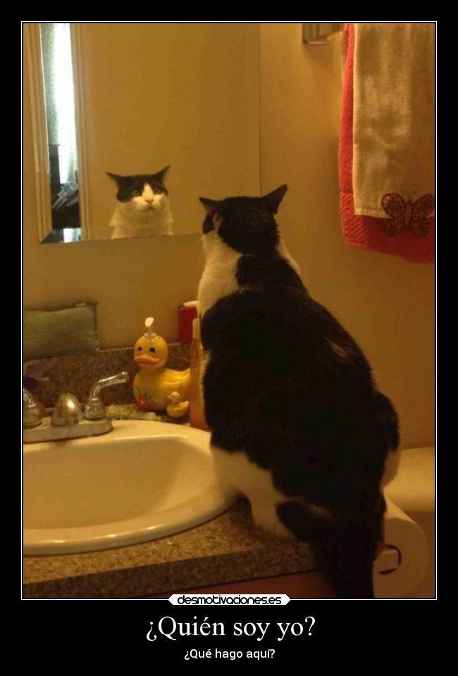 carteles confianza randall foster desmotivaciones