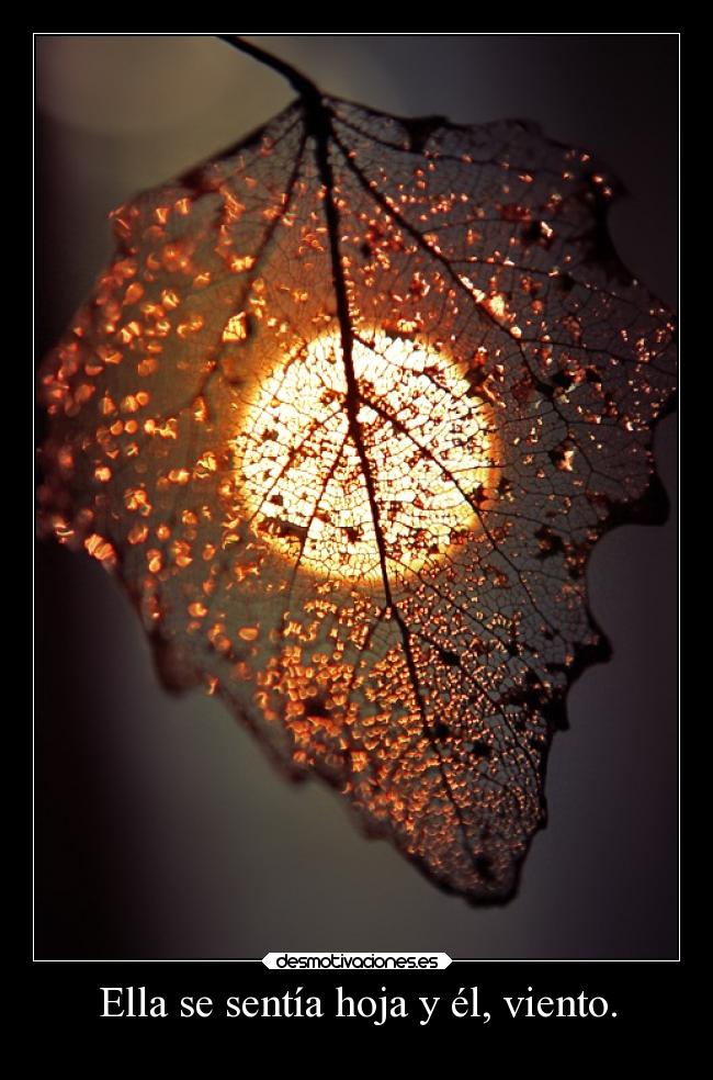 Ella se sentía hoja y él, viento. - 