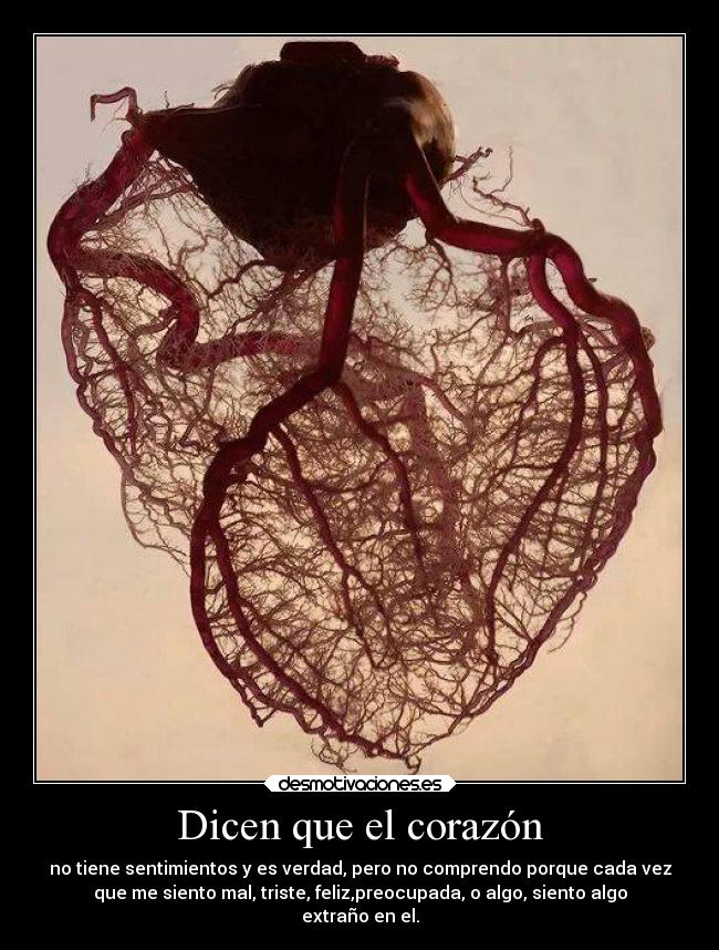 Dicen que el corazón - no tiene sentimientos y es verdad, pero no comprendo porque cada vez
que me siento mal, triste, feliz,preocupada, o algo, siento algo
extraño en el.