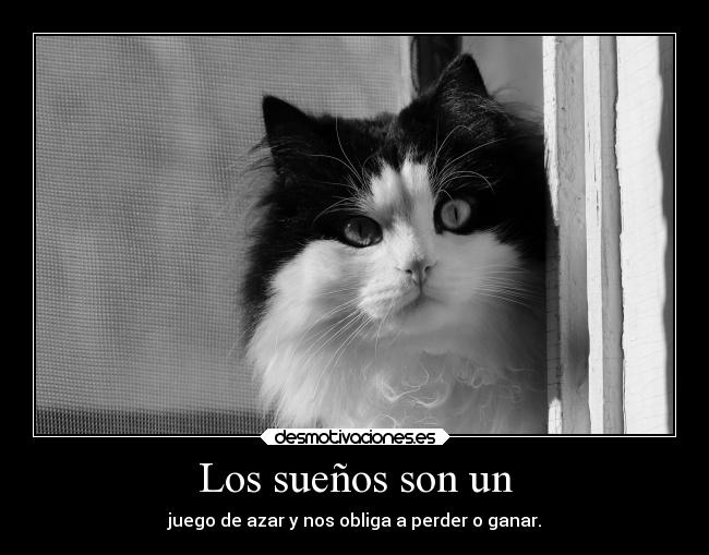 Los sueños son un - 