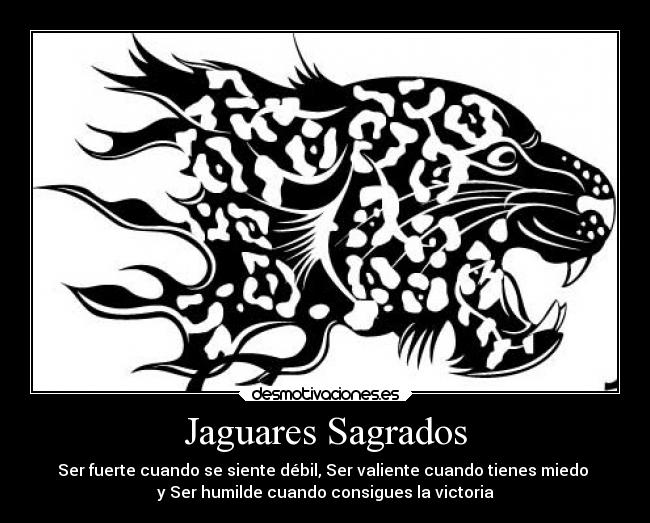 Jaguares Sagrados - 