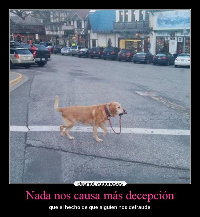 carteles desamor decepccion perro desmotivaciones