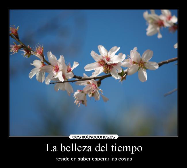 La belleza del tiempo - 