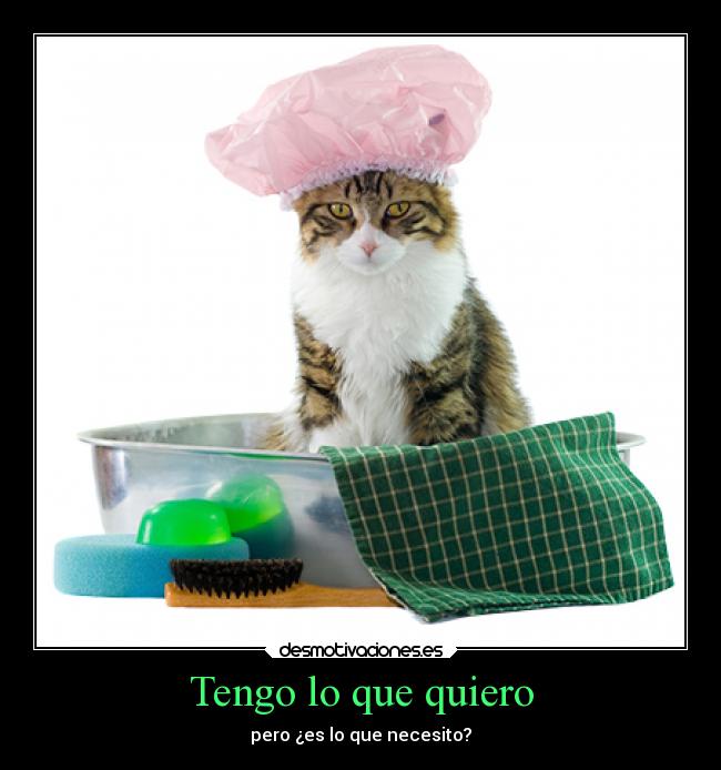 Tengo lo que quiero - pero ¿es lo que necesito?