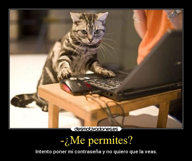 carteles desmotivaciones animales gatos desmotivaciones