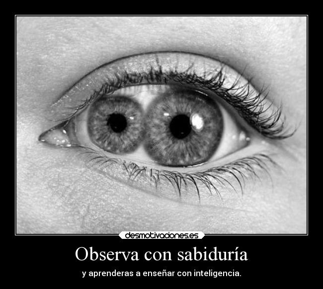 Observa con sabiduría - y aprenderas a enseñar con inteligencia.