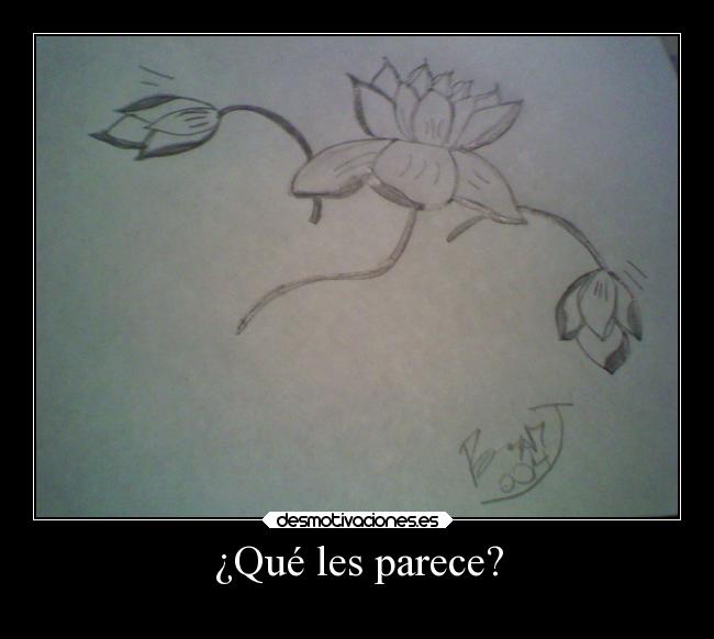 ¿Qué les parece? -